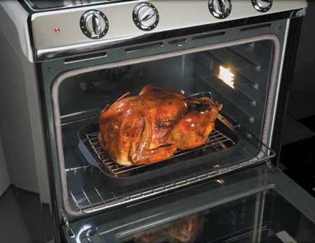 Northstar Self-Cleaning Oven Turkey